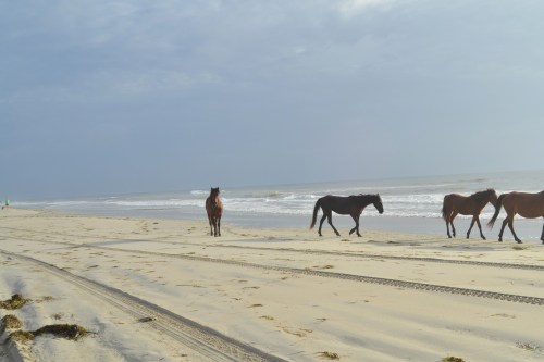 suddenly 6-23-2013 6-56-17 AM