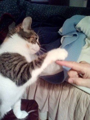 sundae playing with JRs finger