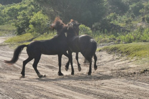 together 6-23-2013 7-49-41 AM_Snapseed