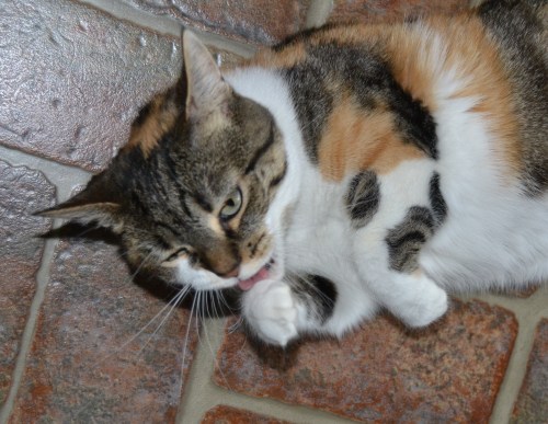 wash hands 6-30-2013 6-29-30 PM