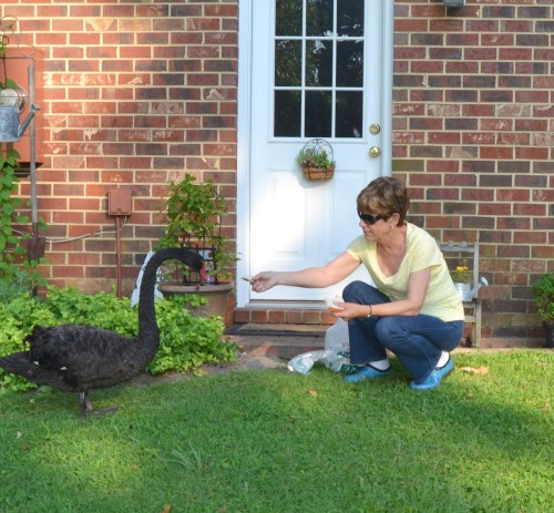 db and groom 2 7-16-2013 6-10-45 PM