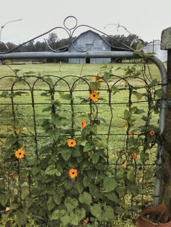 gift on gate 7-8-2013 4-18-24 PM_Snapseed