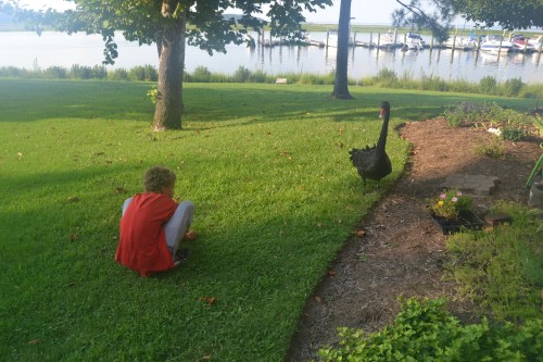 groomswanconnor27-16-20136-10-00PM