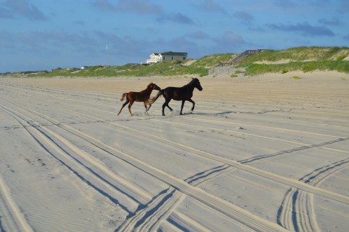 mom and babe running7-21-2013 7-21-06 AM 7-21-2013 7-21-06 AM
