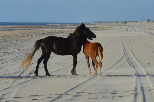 thats enough 7-21-2013 7-20-55 AM