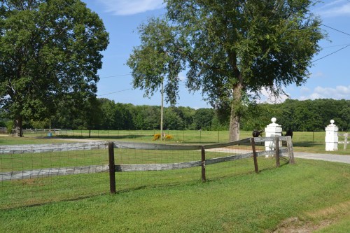b fence1 7-28-2013 4-47-07 PM