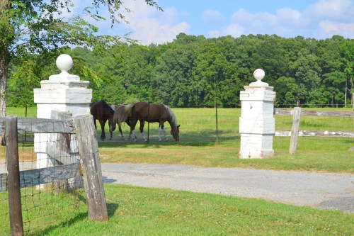 b fence2 7-28-2013 4-47-25 PM