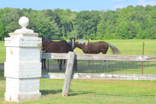 b fence3 7-28-2013 4-47-40 PM