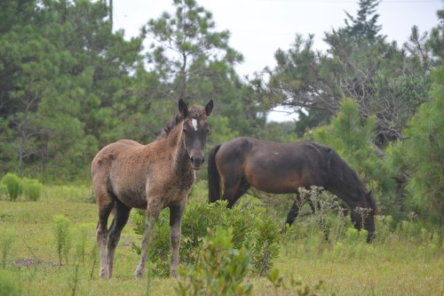 baby and dad 8-11-2013 12-37-34 PM