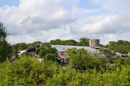barn first 6-30-2013 4-34-09 PM