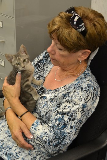 db and gypsy1 8-25-2013 12-53-38 PM