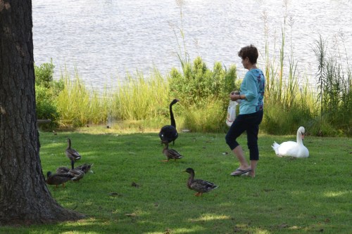 db2 8-24-2013 4-08-41 PM 8-24-2013 4-08-41 PM