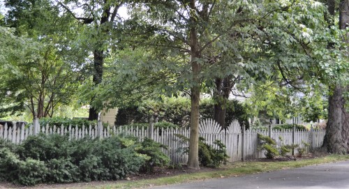 fence1 7-28-2013 2-22-33 PM_Snapseed