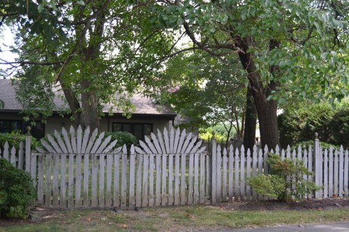 fence1 gate 7-28-2013 2-22-43 PM
