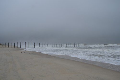 fence2 8-18-2013 6-46-59 AM