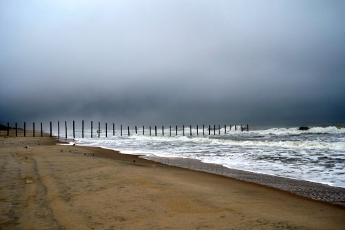 fence2 8-18-2013 6-46-59 AM