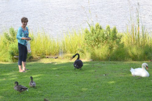 hi 8-24-2013 4-08-57 PM