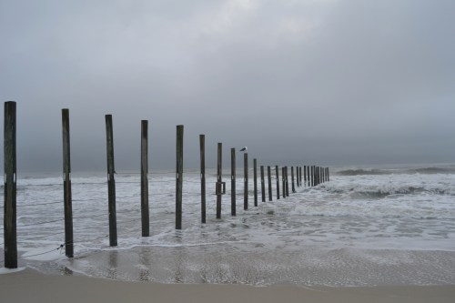 lacy 8-18-2013 6-48-59 AM