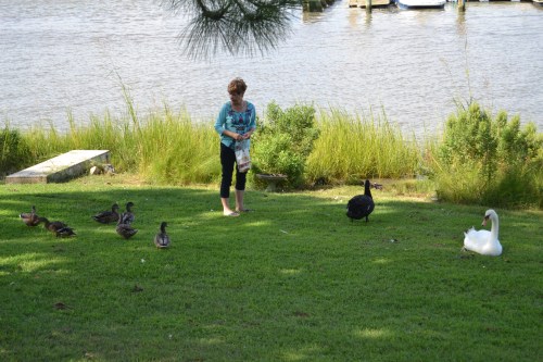 last 8-24-2013 4-09-15 PM