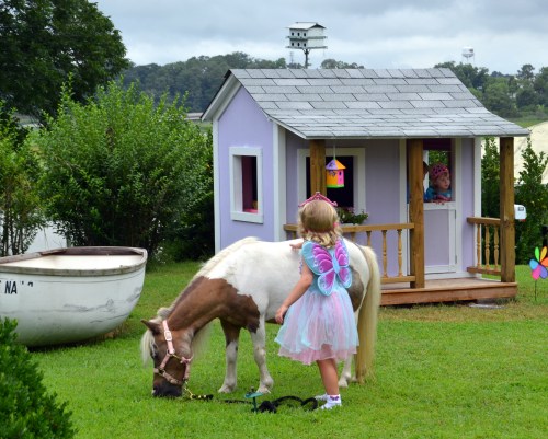 livy with pony 7-13-2013 10-32-29 AM