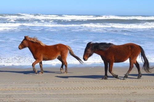 on the beach 3-9-2013 2-19-42 PM