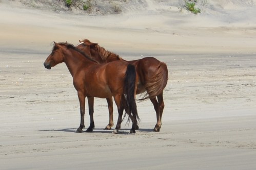 two 6-4-2013 10-43-10 AM