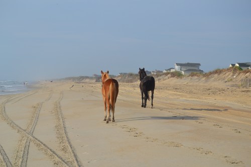 walkin down the beach