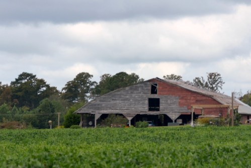 barn1 9-29-2013 11-37-43 AM
