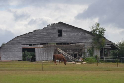 barn2 9-29-2013 11-39-39 AM