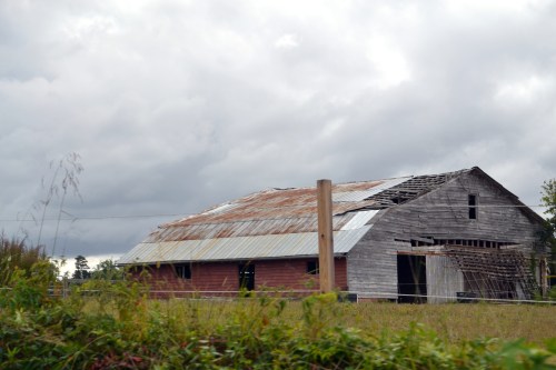 barn4 9-29-2013 11-40-37 AM