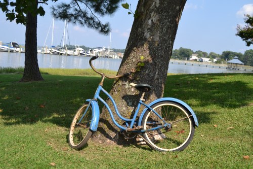 bike 9-10-2013 3-10-20 PM