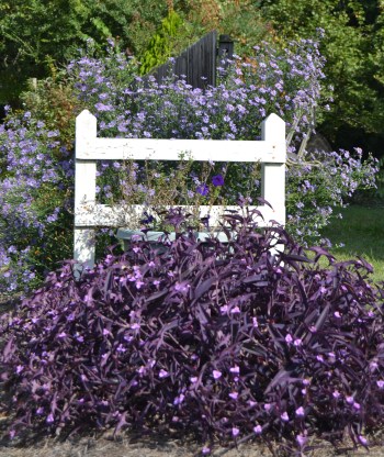 fence2 9-23-2013 9-58-06 AM