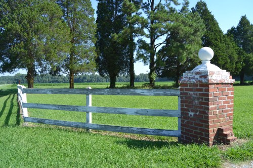 fence2 9-5-2013 10-46-43 AM