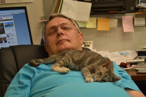 gypsy lying on jr 9-8-2013 4-05-10 PM