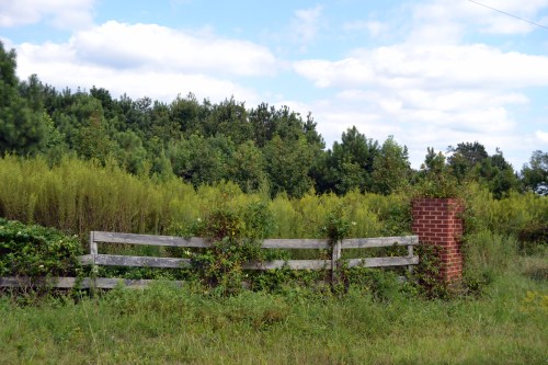 left side 9-7-2013 3-36-20 PM