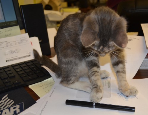 office asst 8-22-2013 7-13-15 PM