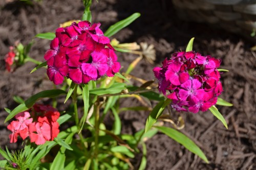 sw williams 8-26-2013 3-38-55 PM