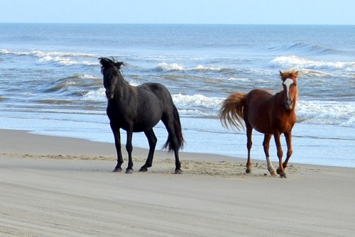 what 9-1-2013 8-30-29 AM