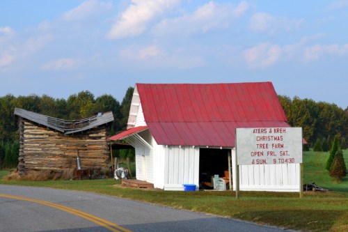 christmas tree farm barn 10-6-2013 9-08-37 AM