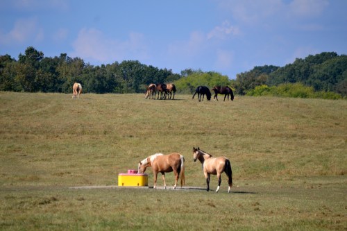 closeup 10-5-2013 3-05-19 PM