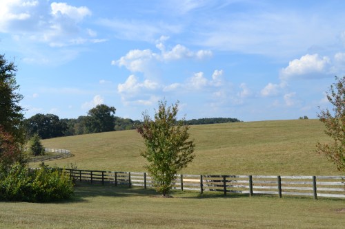 fence1 10-5-2013 3-05-57 PM