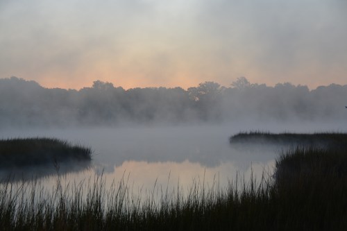 fog at rescue bridge 10-25-2013 7-19-32 PM