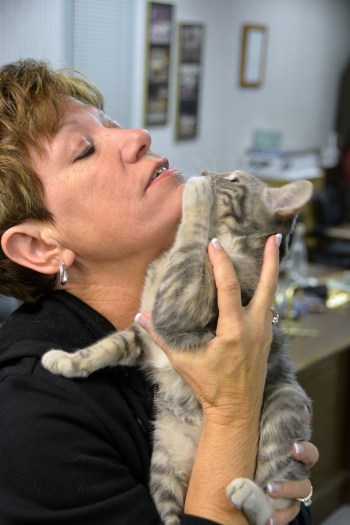 gyp and db 10-29-2013 6-44-08 AM