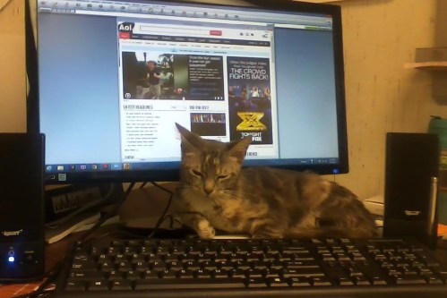 gypsy and computer 10-3-2013 8-58-10 PM