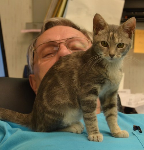 gypsy and jr1 9-8-2013 4-04-51 PM 9-8-2013 4-04-51 PM