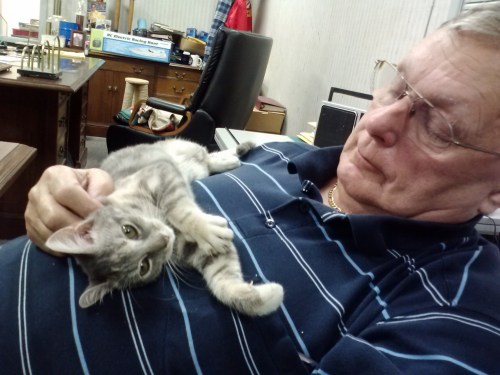 jr gypsy 10-15 10-14-2013 12-42-57 PM