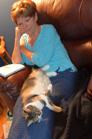 lap kitty2 10-16-2013 10-02-42 AM