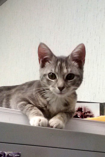 that face 10-16-2013 6-30-28 AM