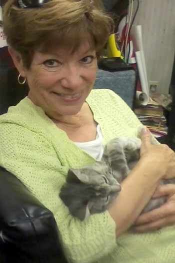 db and gyp 10-15-2013 3-20-45 PM