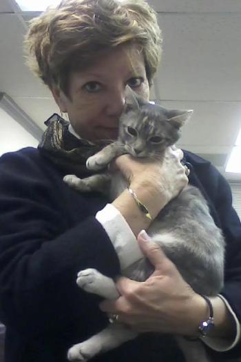 db gypsy 11-25 11-25-2013 8-31-44 PM